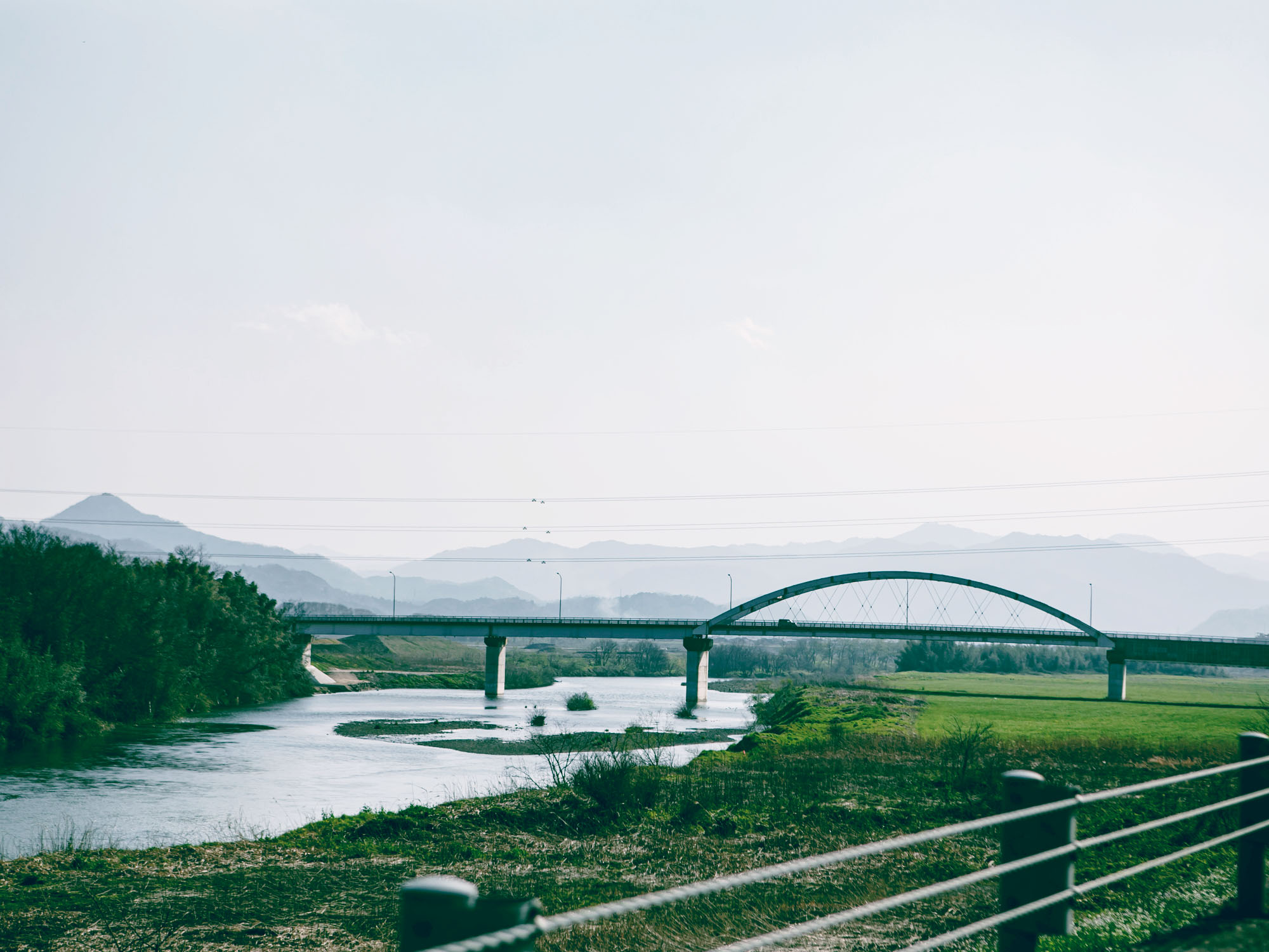円山川