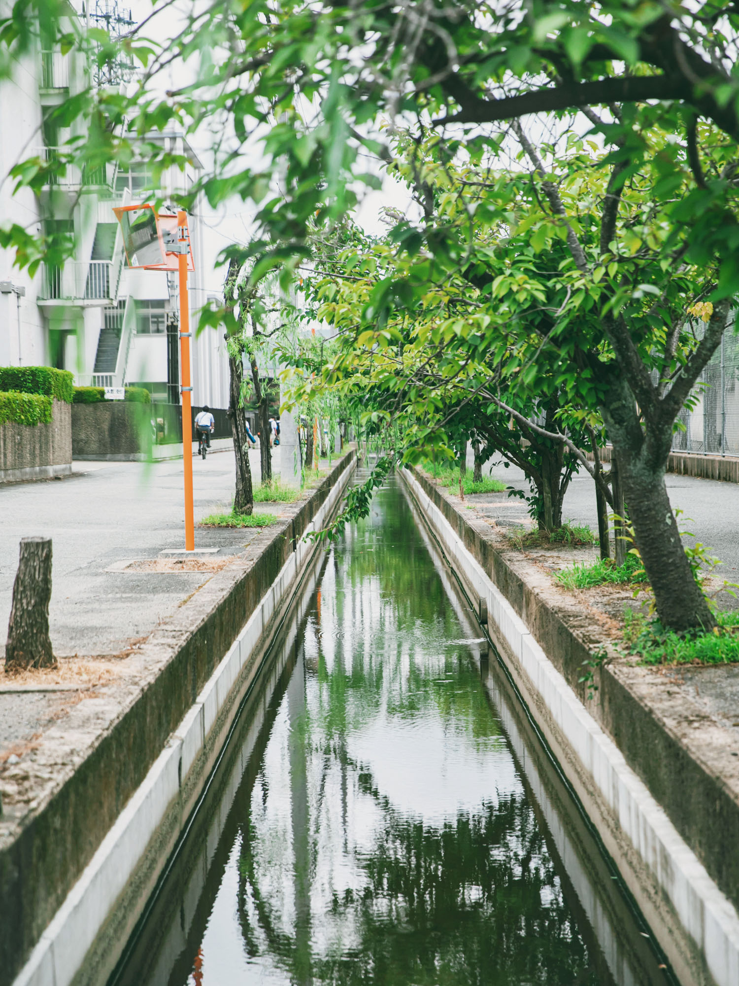 豊岡の風景