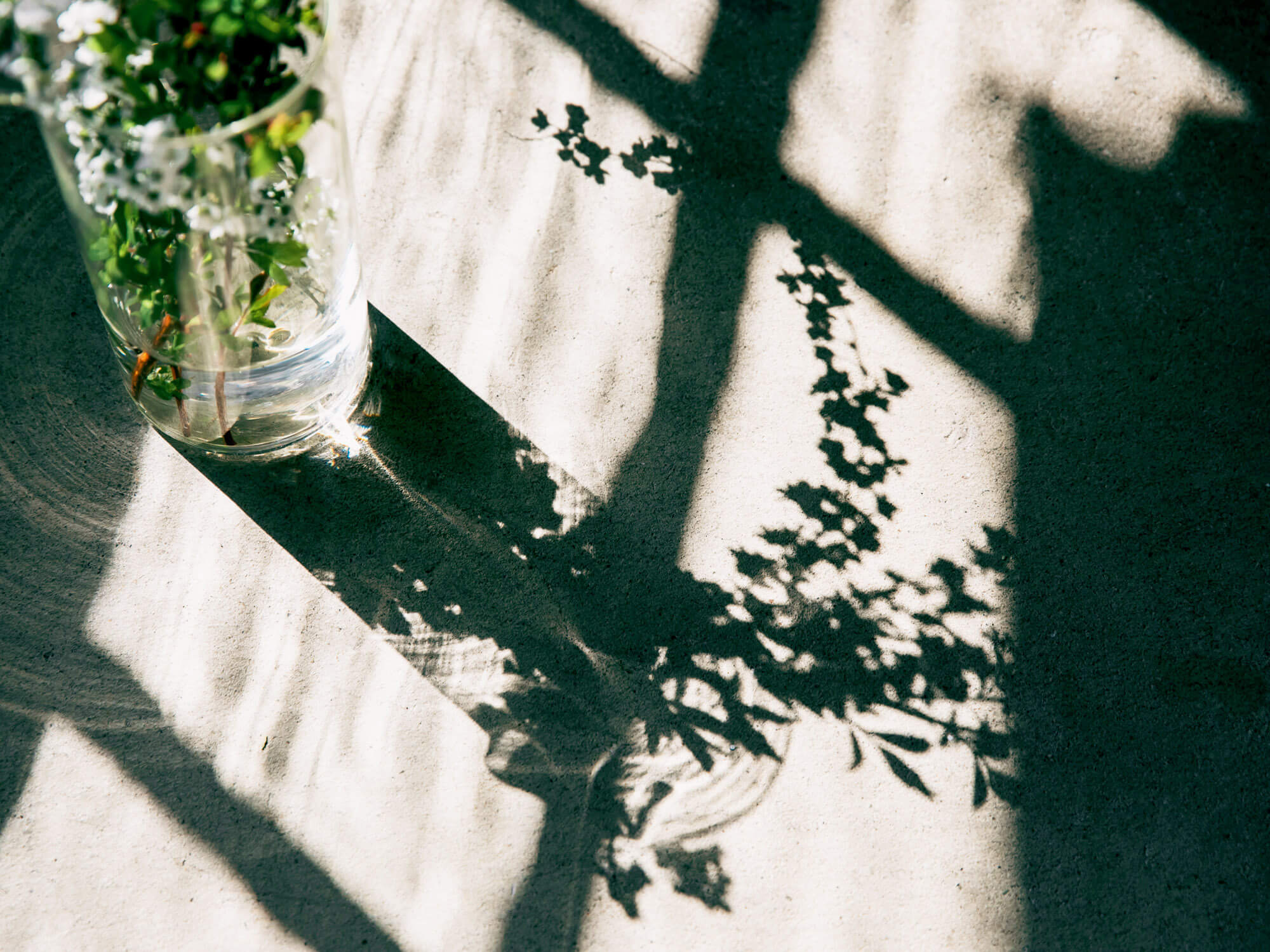 お花