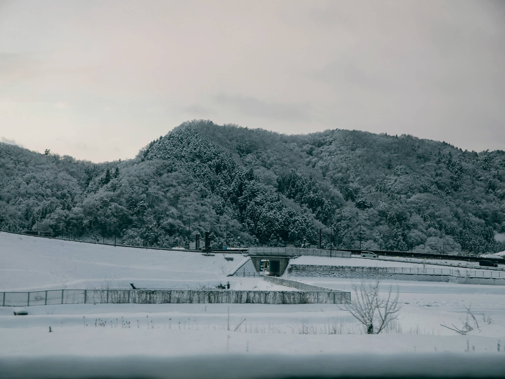 大雪