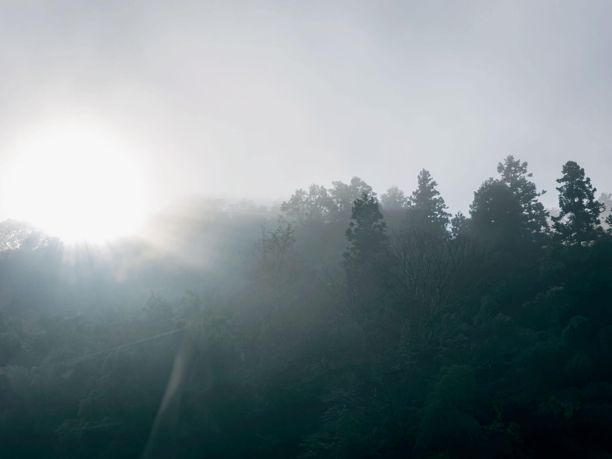 豊岡の風景